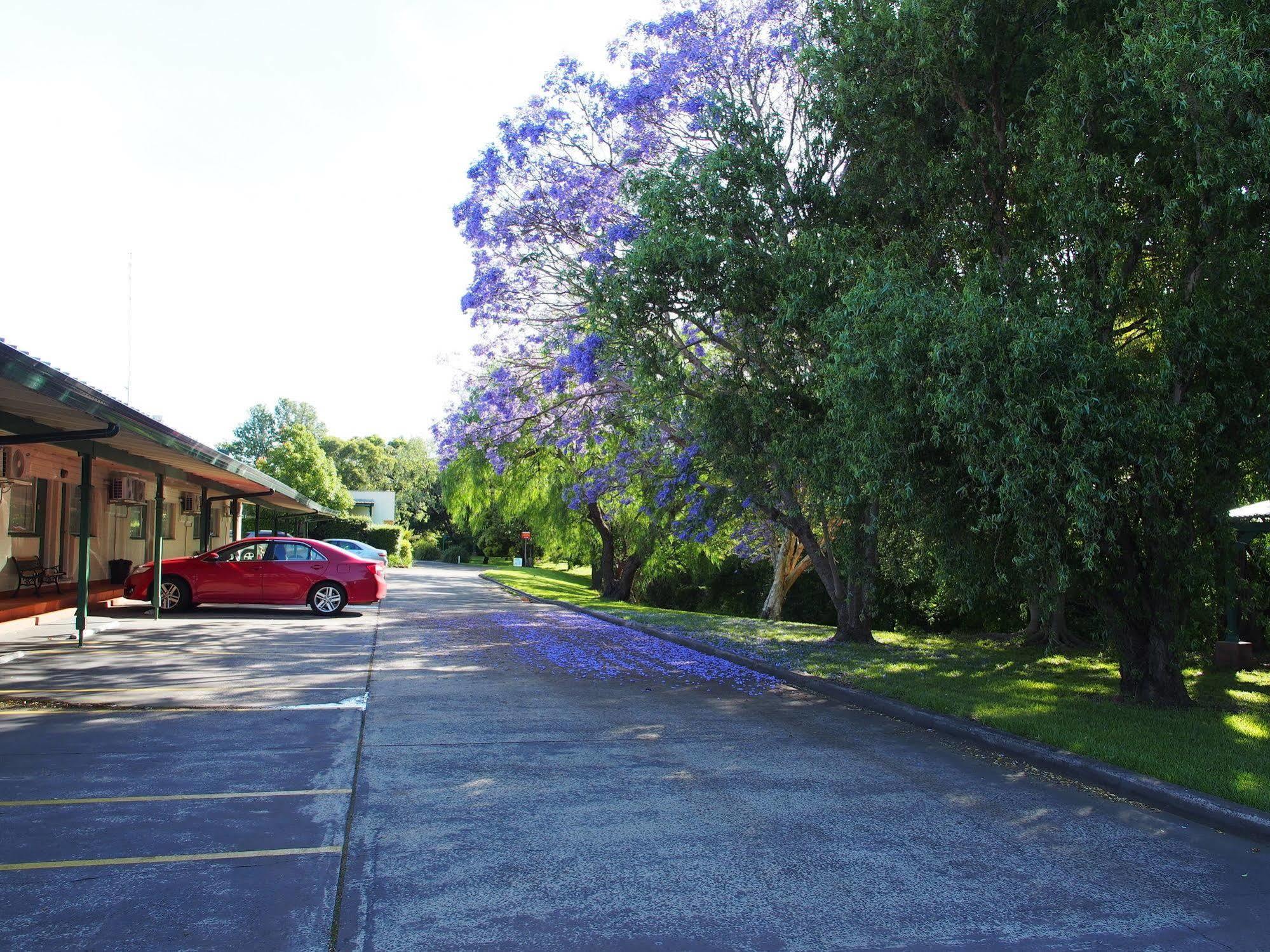 Solomon Inn Motel Figtree Wollongong Eksteriør billede